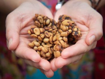Kawa Kopi Luwak – jedna z najdroższych kaw na świecie
