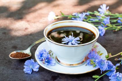 Kawa z cykorii – zdrowa alternatywa bez kofeiny
