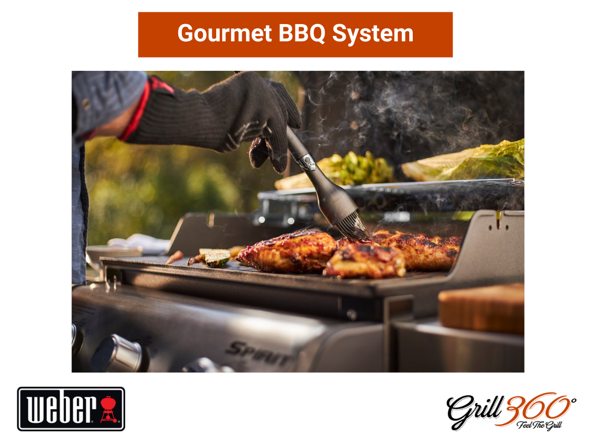 Gourmet BBQ System
