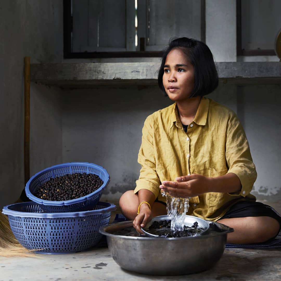 Najdroższa kawa świata Black Ivory Coffee