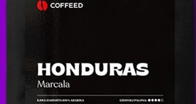 COFFEED kawa ziarnista Honduras Marcala 250 g.