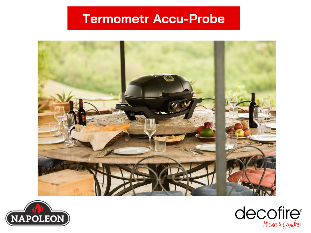 Termometr Accu Probe